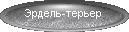 король терьеров - Эрдель-терьер